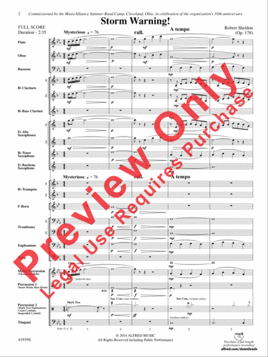 Storm Warning! Concert Band scores gallery preview page 3