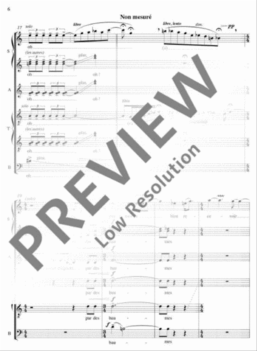 Élégie sur le royaume Tchong 4-Part scores gallery preview page 7