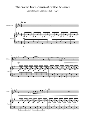 The Swan - Camille Saint-Saëns - Soprano Sax w/ Piano