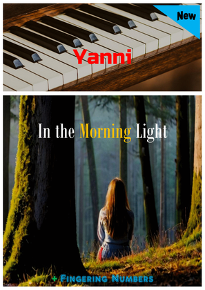 Book cover for In The Morning Light