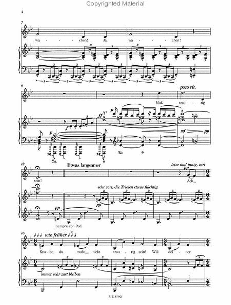 Fünfzehn Lieder, Humoresken Und Balladen Aus 