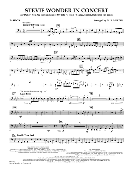 Stevie Wonder In Concert - Bassoon