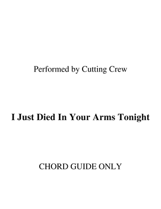 Book cover for (i Just) Died In Your Arms