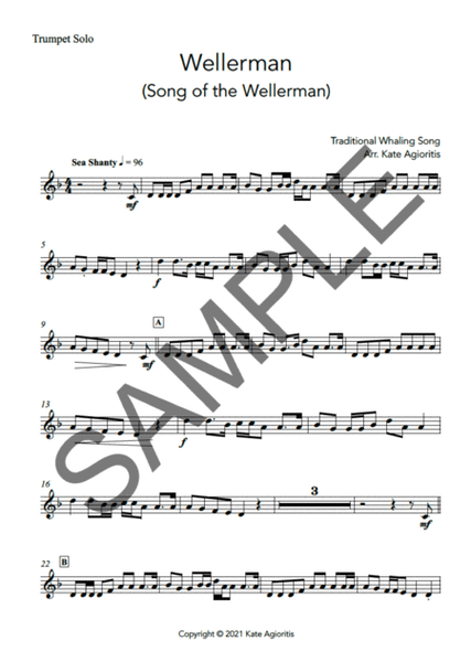 Wellerman - Solo for Trumpet (with play-along backing track) image number null