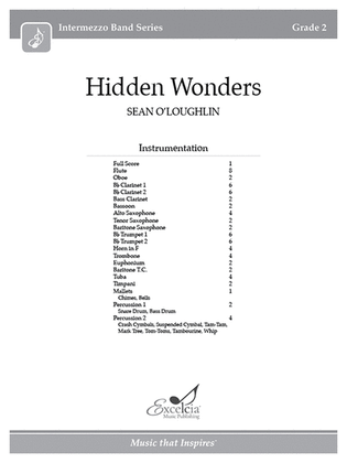 Book cover for Hidden Wonders