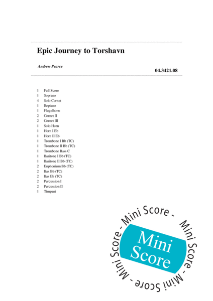 Epic Journey to Torshavn