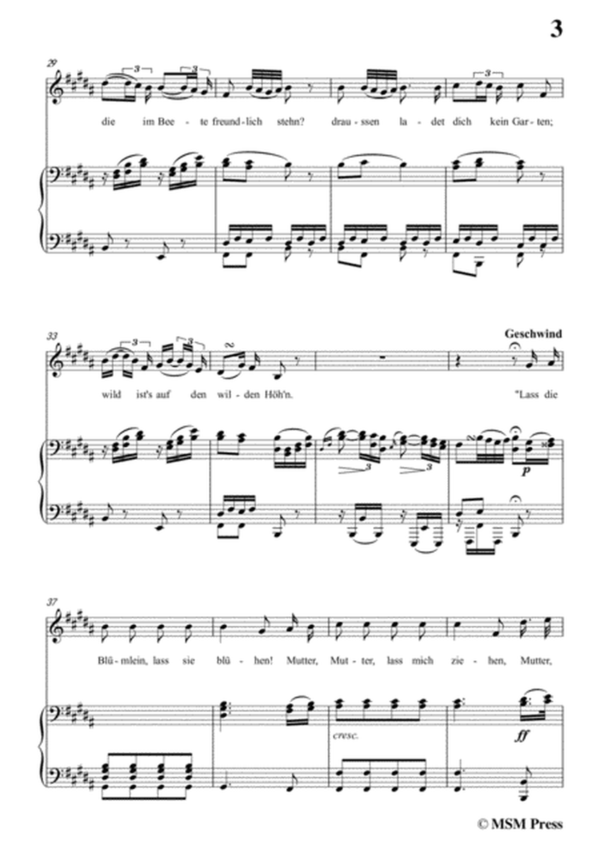 Schubert-Der Alpenjäger,Op.37 No.2,in B Major,for Voice&Piano image number null