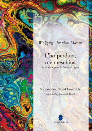Book cover for L'ho perduta