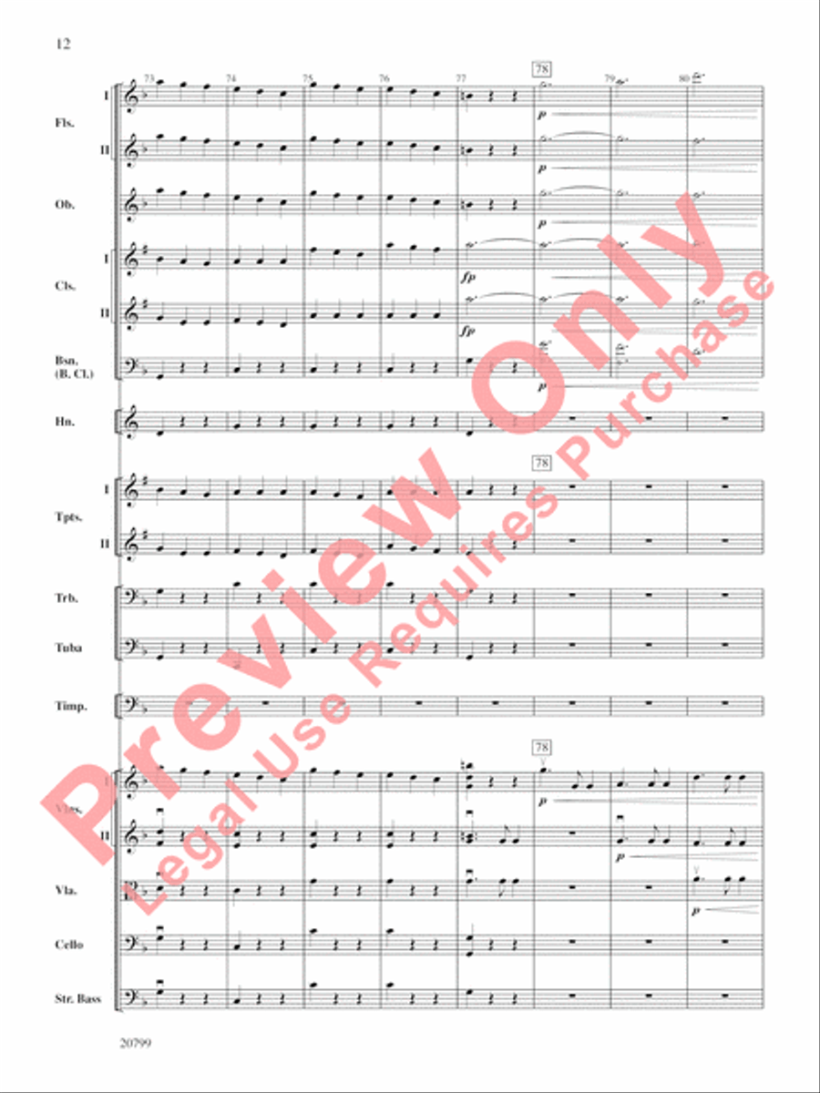 Symphony No. 9 Full Orchestra scores gallery preview page 13