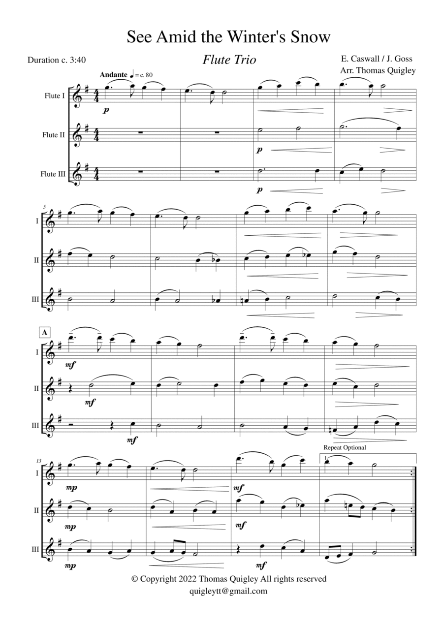 See Amid The Winter's Snow (Flute Trio) Flute Trio scores gallery preview page 1