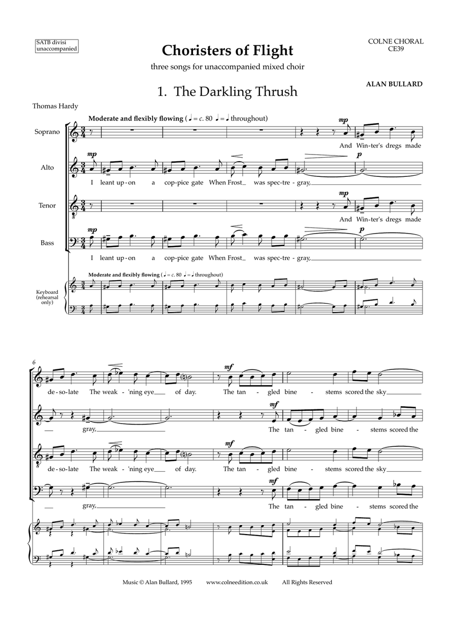 Choristers of Flight (Choral Suite for unaccompanied mixed choir) Divisi scores gallery preview page 4