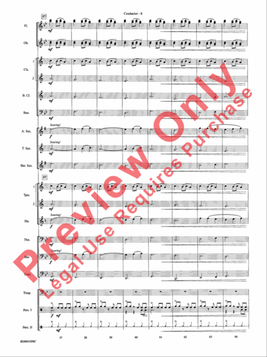 African Bell Carol (for Percussion and Winds) Concert Band scores gallery preview page 11