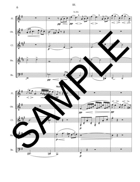 Symphony No. 4 - 3rd Movement for Woodwind Quintet image number null
