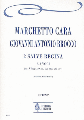 Book cover for 2 Salve Regina for 3 Voices