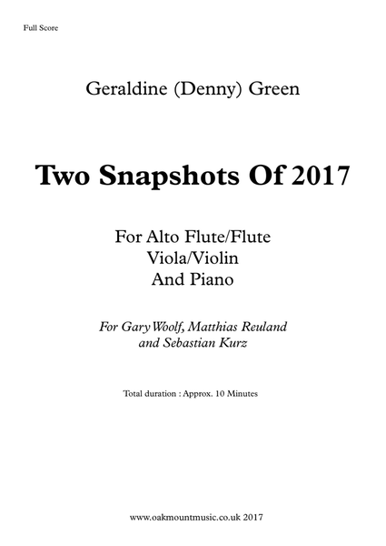 Two Snapshots Of 2017, For Flute/Alto Flute, Viola/Violin And Piano. Chamber Music - Digital Sheet Music