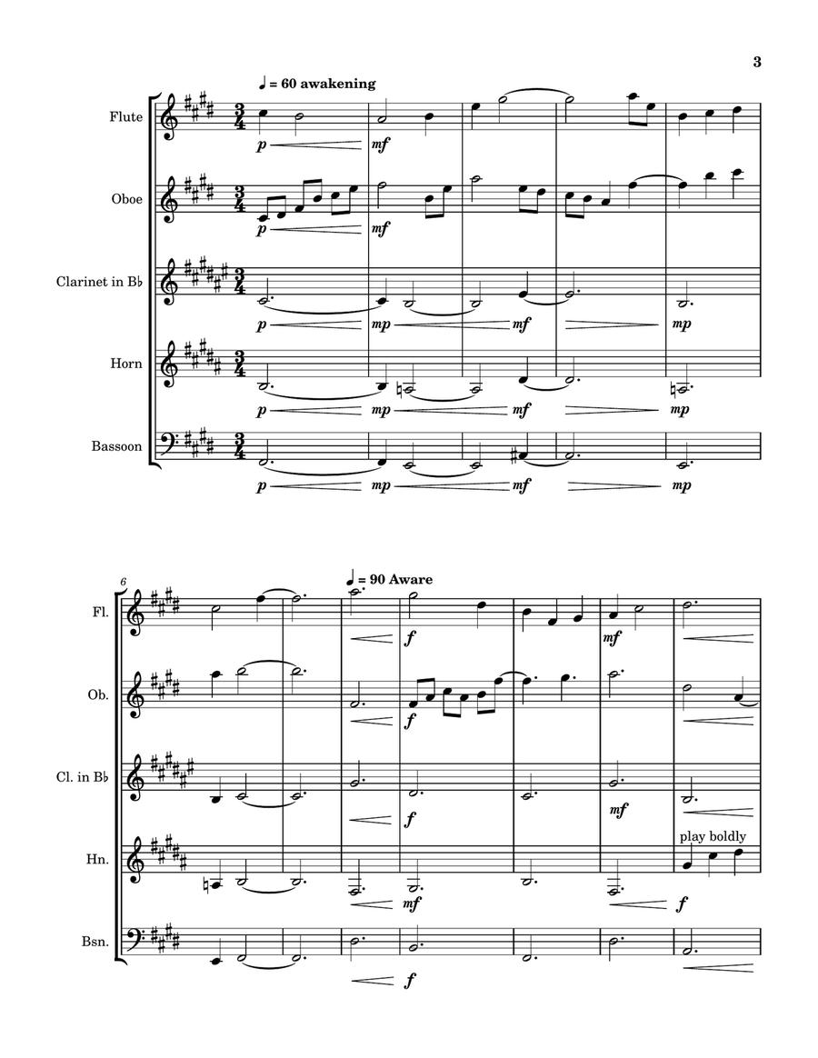 The Nautilus Woodwind Quintet scores gallery preview page 3