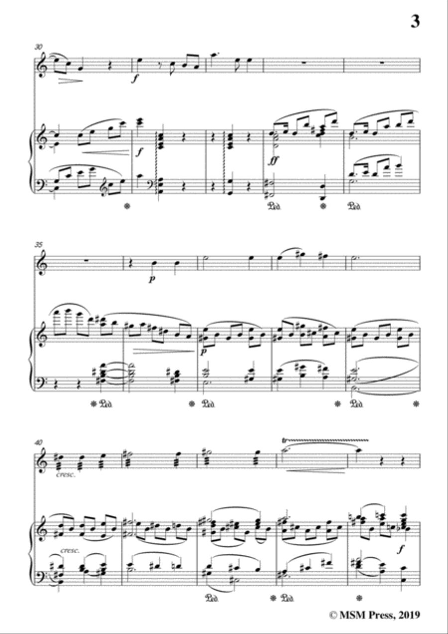 Richard Strauss-Nichts, for Violin and Piano Violin Solo scores gallery preview page 5