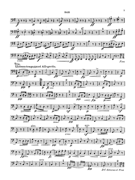 Quintet in G Major, Op. 77: String Bass