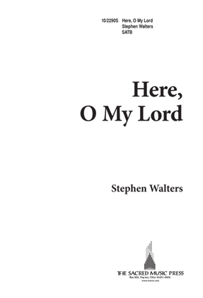 Book cover for Here, O My Lord