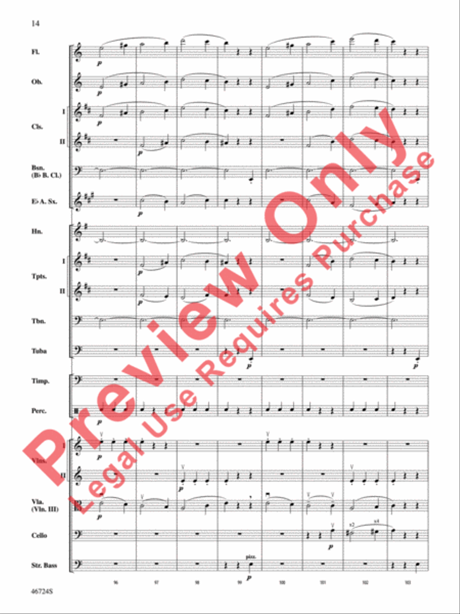 Symphony No. 5 Symphony No. 5 Full Orchestra scores gallery preview page 15