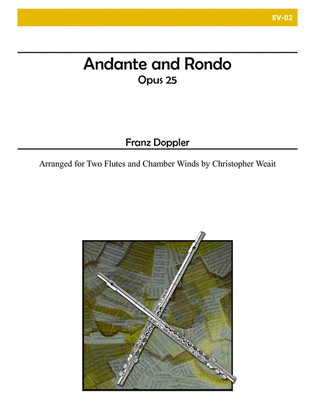 Book cover for Andante and Rondo (Two Flutes and Chamber Winds)