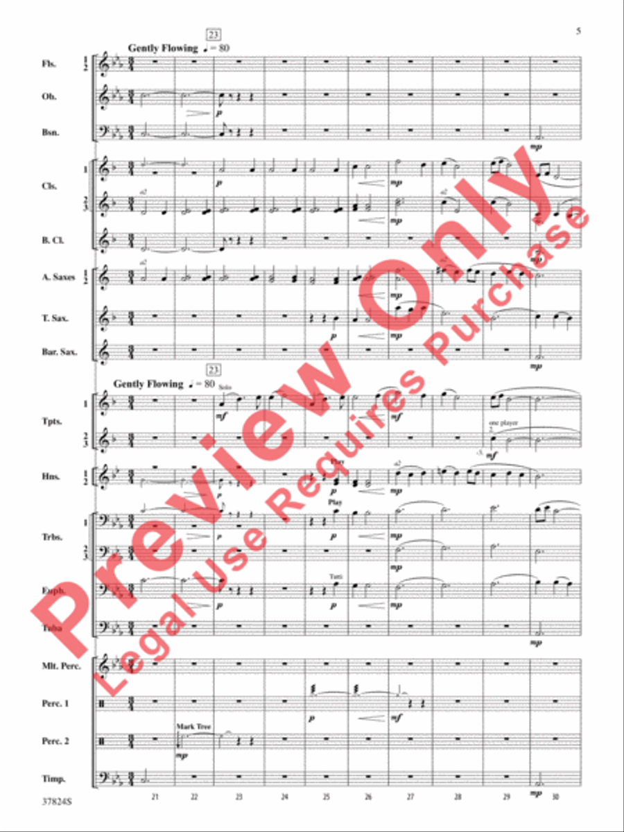 Shadows of the Equinox Shadows of the Equinox Concert Band scores gallery preview page 6