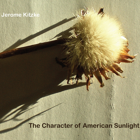 Character of American Sunlight