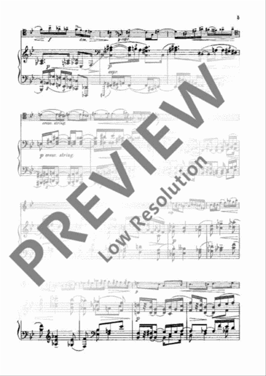 Sonata G Minor Piano Accompaniment scores gallery preview page 4