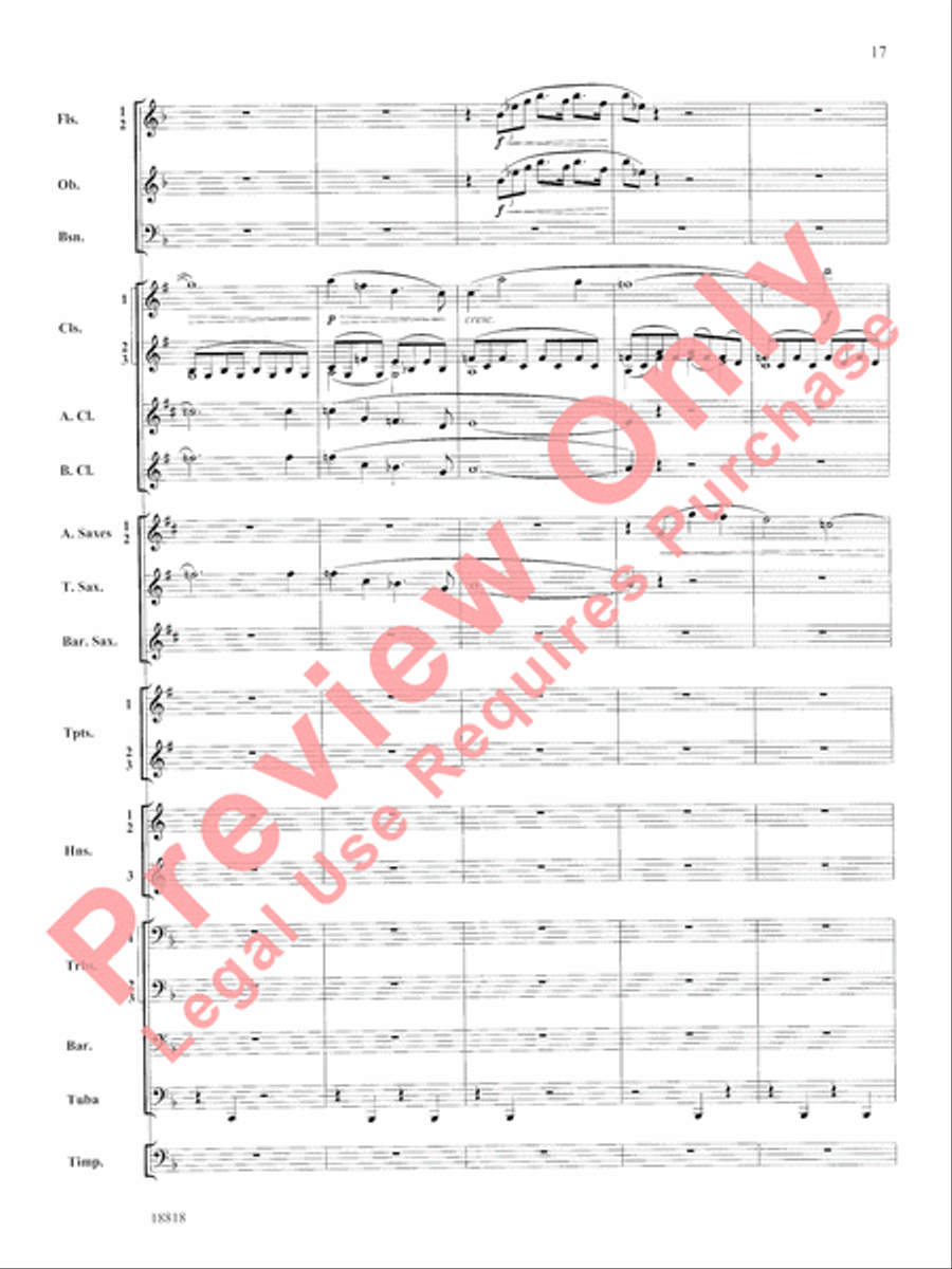 Symphony No. 9 New World, Finale Concert Band scores gallery preview page 18