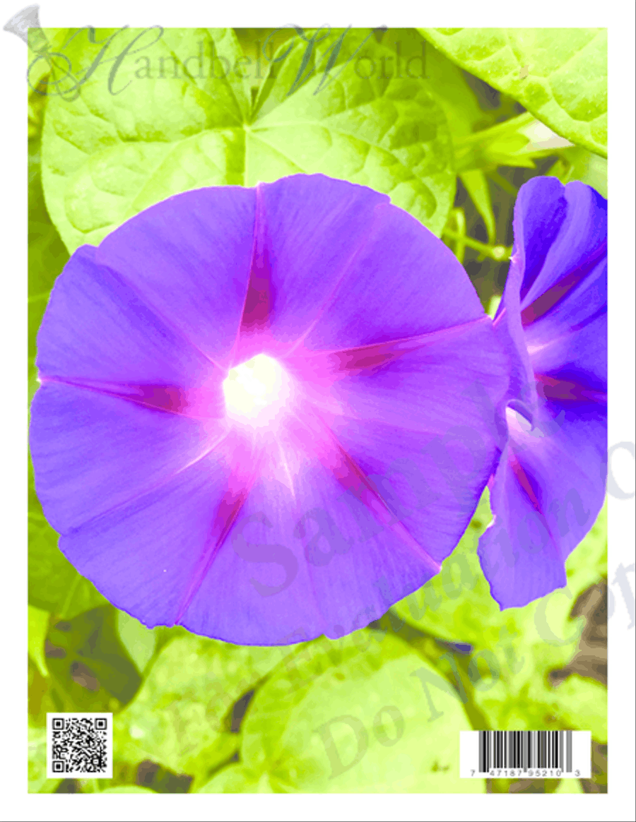 Morning Prayer Morning Prayer 5-Octaves scores gallery preview page 3