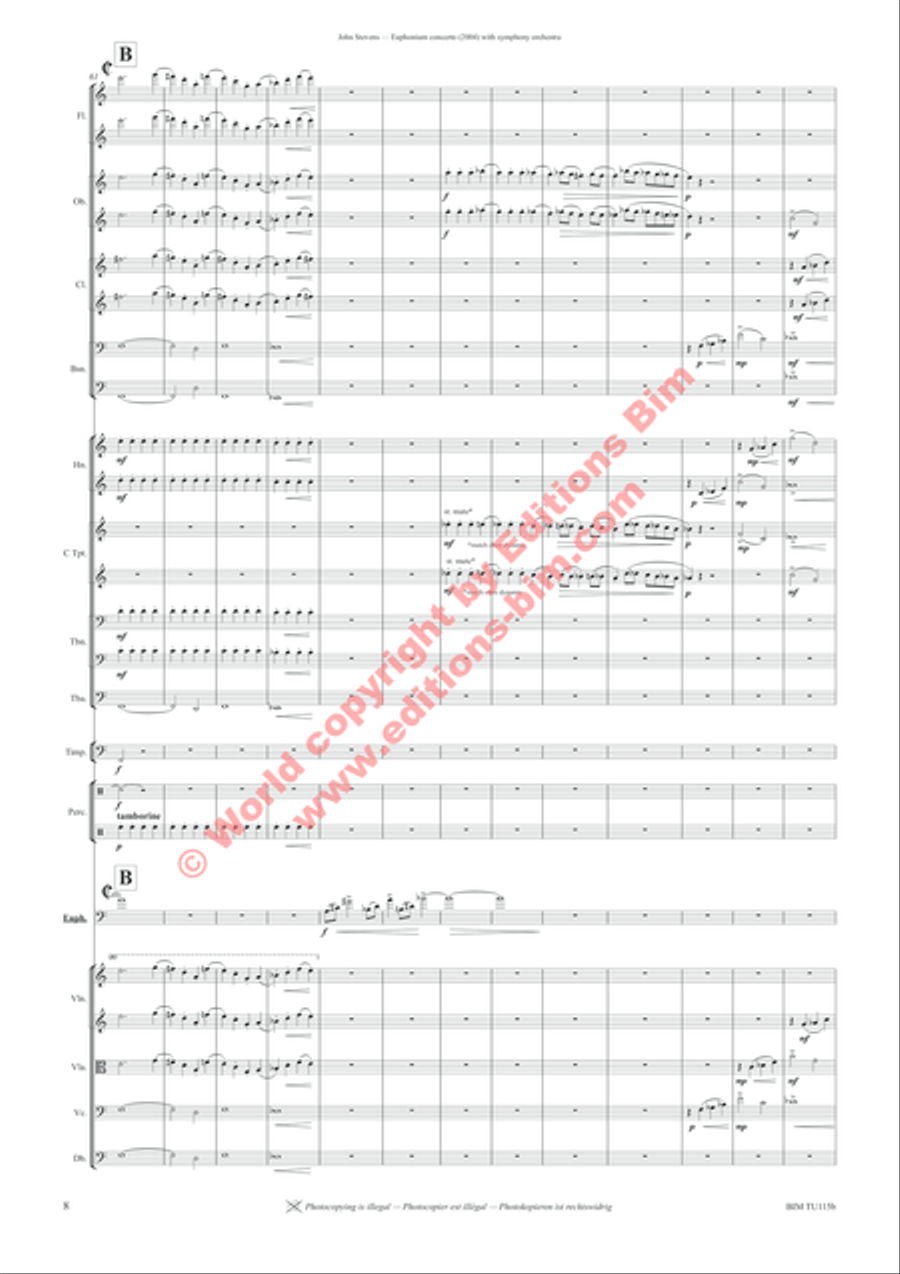 Euphonium Concerto Full Orchestra scores gallery preview page 12