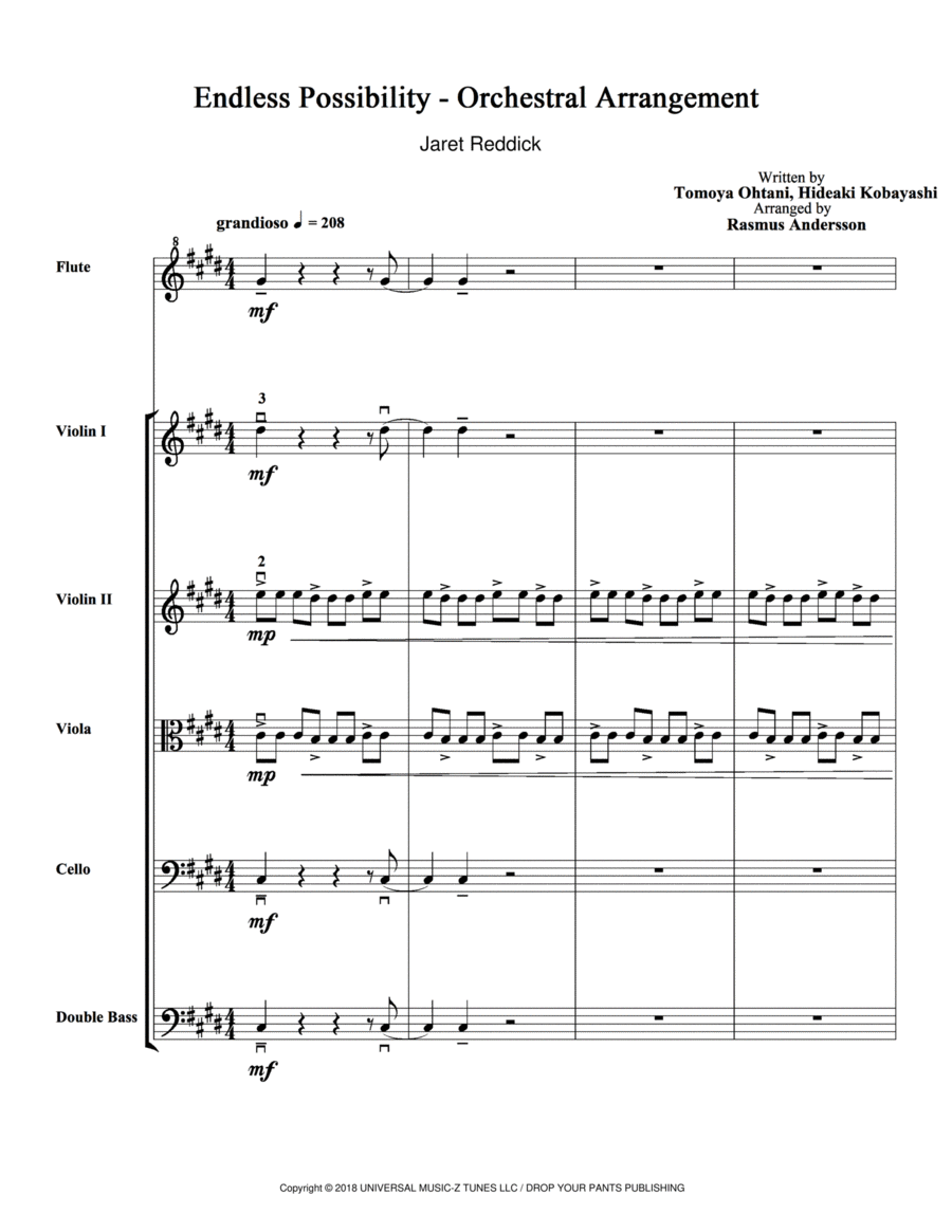 Endless Possibility String Orchestra scores gallery preview page 1