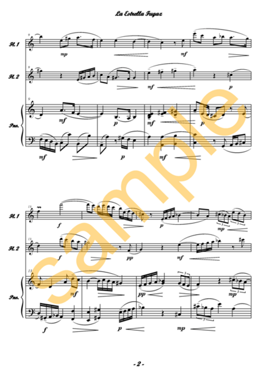 La Estrella Fugaz / Shooting Star for 2 flutes Flute Duet scores gallery preview page 3