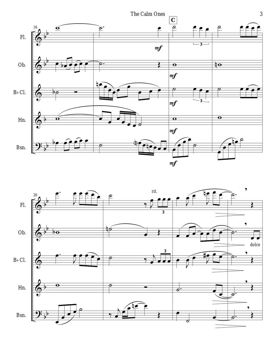 The Calm Ones (in a Noisy World) - woodwind quintet Woodwind Quintet scores gallery preview page 3
