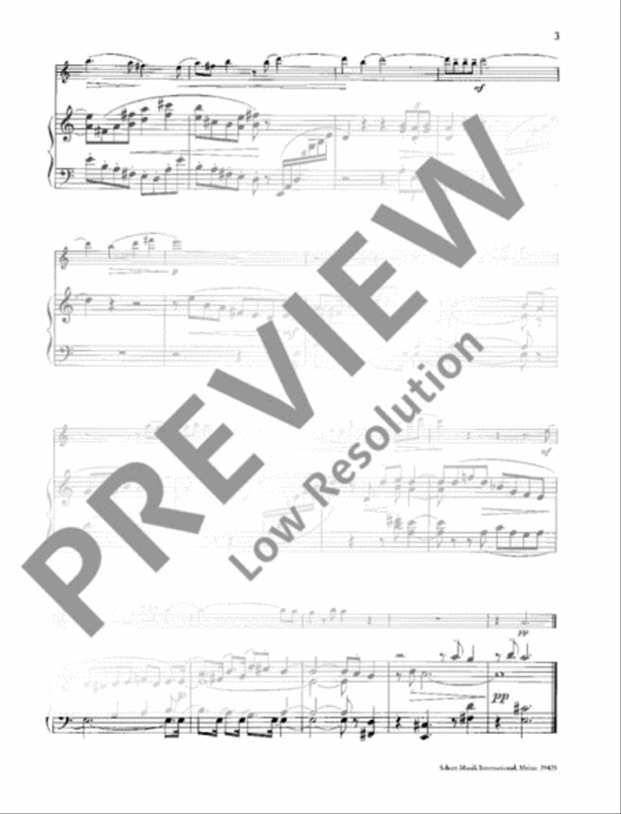 Echo Flute Solo scores gallery preview page 4
