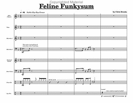 Feline Funkysum image number null