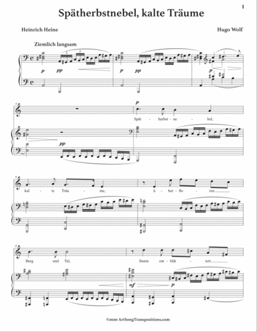 WOLF: Spätherbstnebel, kalte Träume (transposed to A minor) Voice scores gallery preview page 2