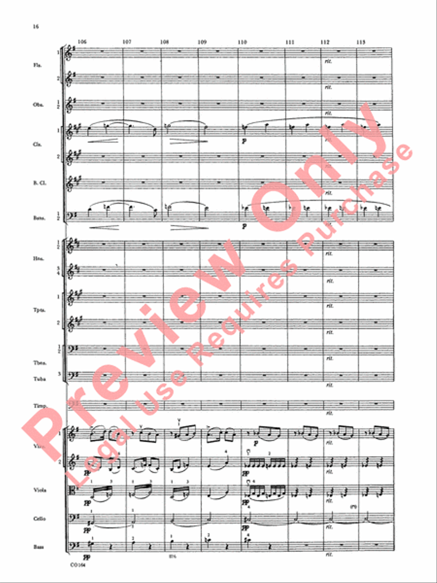 New World Symphony Full Orchestra scores gallery preview page 17