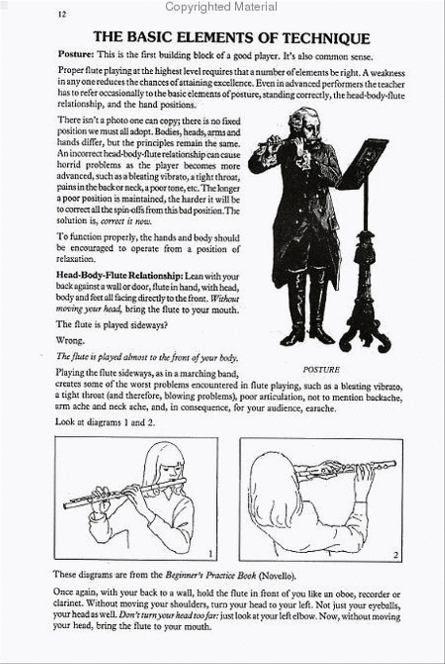 Proper Flute Playing Flute Solo scores gallery preview page 2