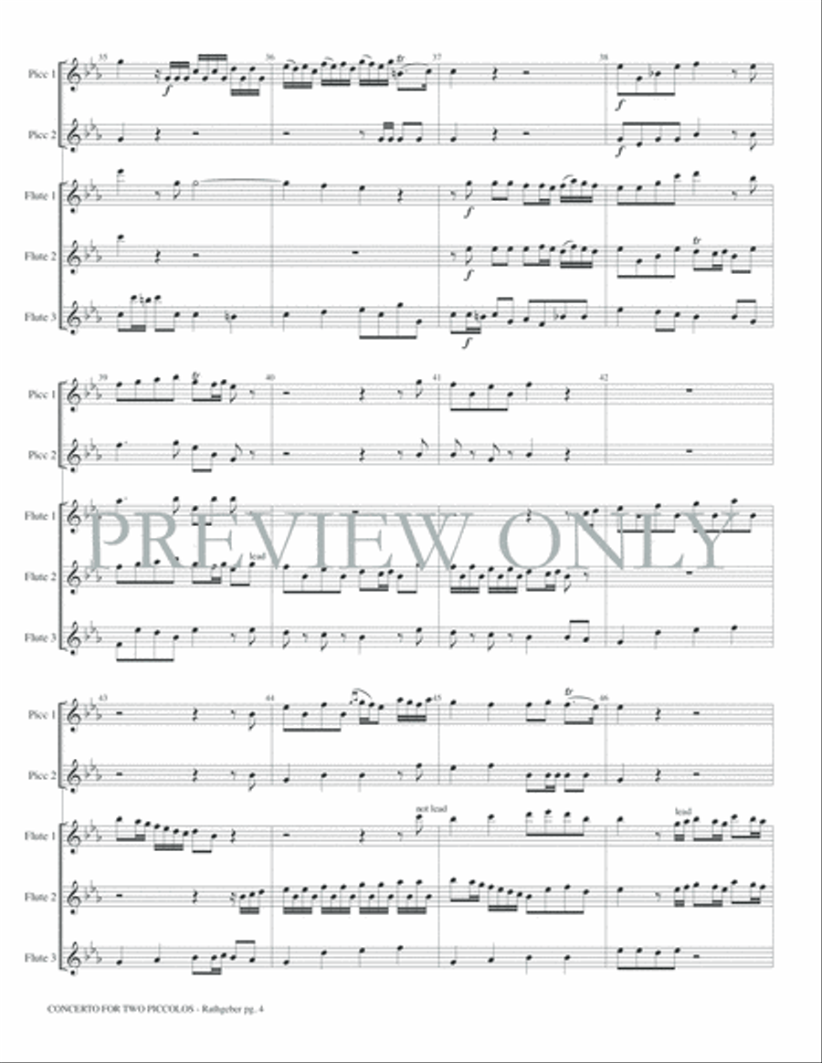Concerto for Two Piccolos Op. 6 Small Ensemble scores gallery preview page 6