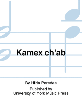 Book cover for Kamex ch'ab
