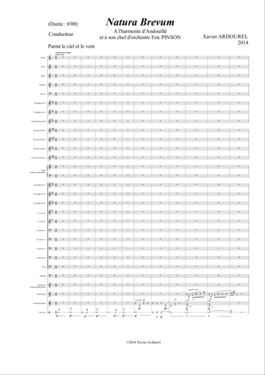 NATURA BREVUM NATURA BREVUM Concert Band scores gallery preview page 1