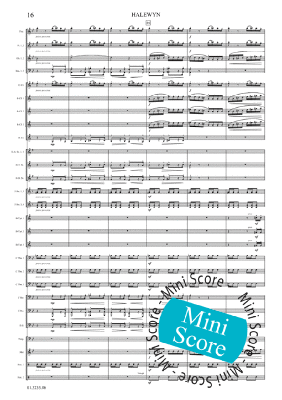 Halewijn Concert Band scores gallery preview page 22