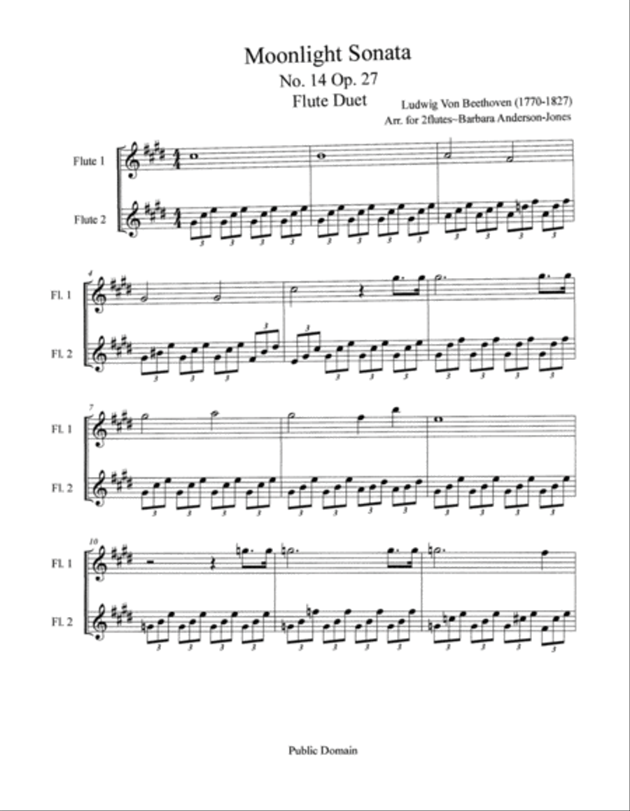 Moonlight Sonata (Flute Duet) Flute Duet scores gallery preview page 2