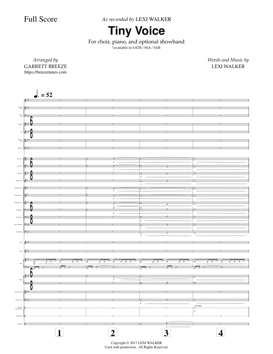 Tiny Voice (Instrumental Accompaniment Score & Parts) image number null