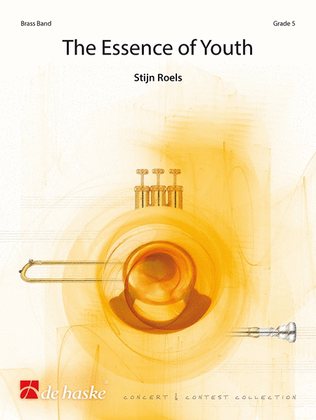 Book cover for The Essence of Youth