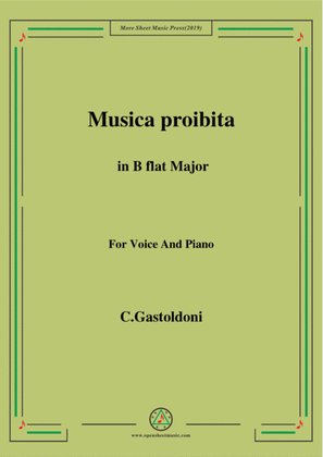 Book cover for Gastoldoni-Musica proibita in B flat Major