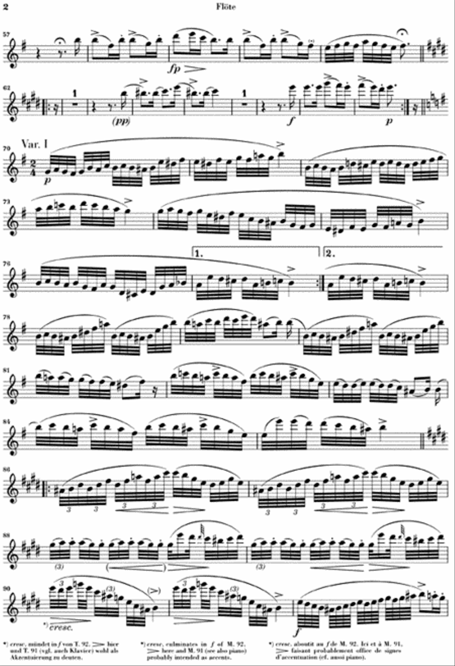 Variations on “Trockne Blumen” in E minor, Op. Posth. 160, D 802 Flute Solo scores gallery preview page 3