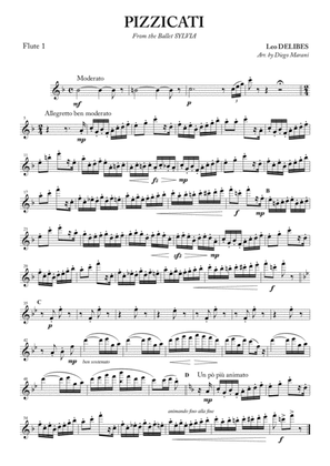 Pizzicati for Flute Quartet