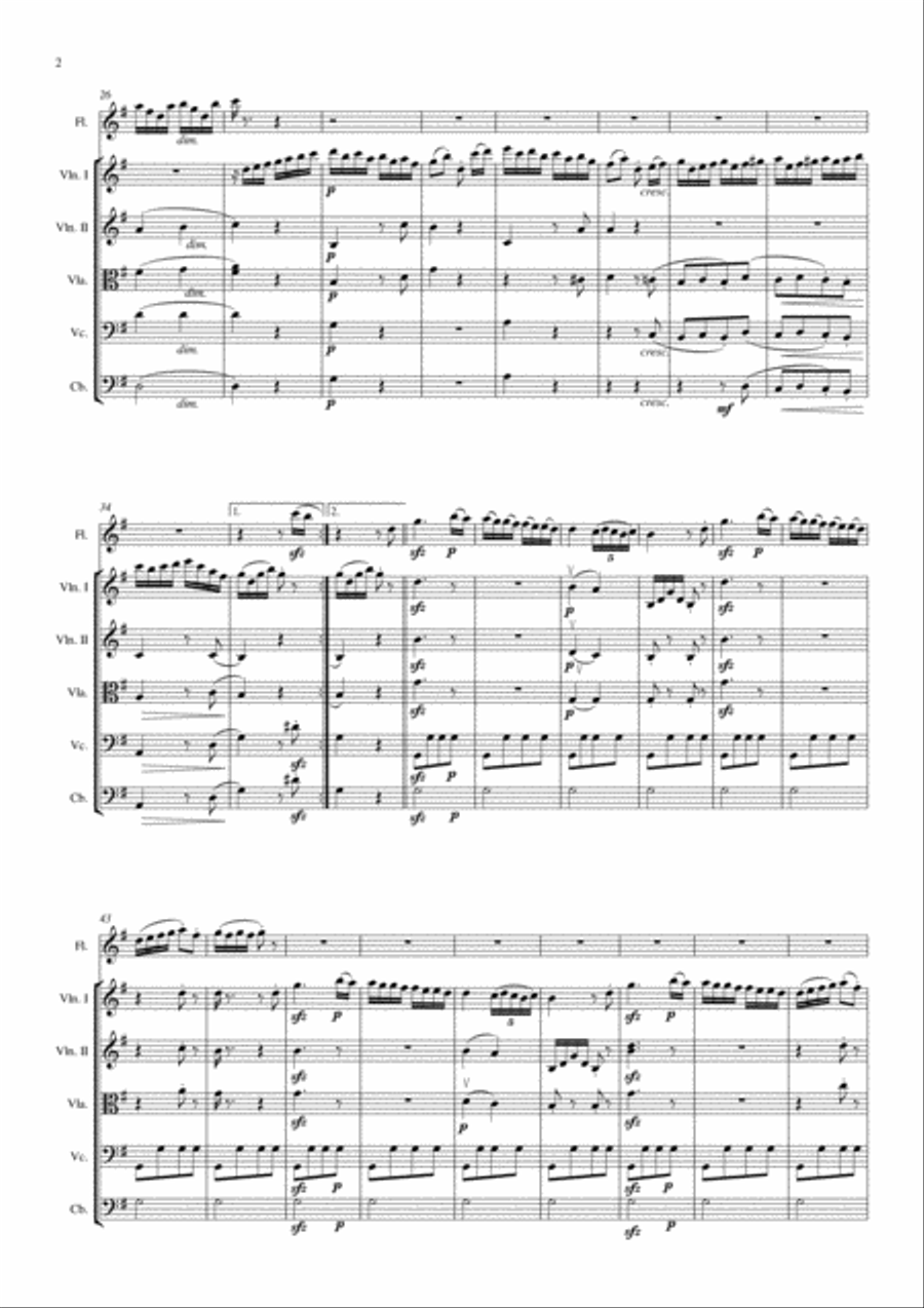 Gipsy Rondo Chamber Orchestra scores gallery preview page 2